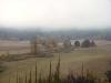 S_FoggyValley1.jpg 1.7K