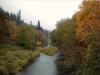 S_MountainStream2.jpg 2.2K