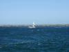 S_Sailboat01.jpg 1.5K