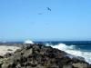 S_South_Jetty01.jpg 2.1K